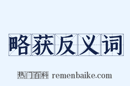 略获反义词是什么意思的图片